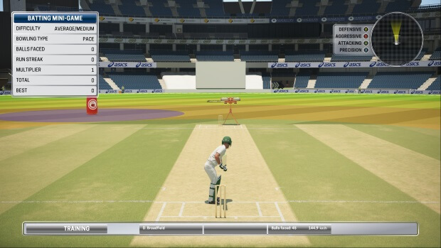 Ashes Cricket Screenshots